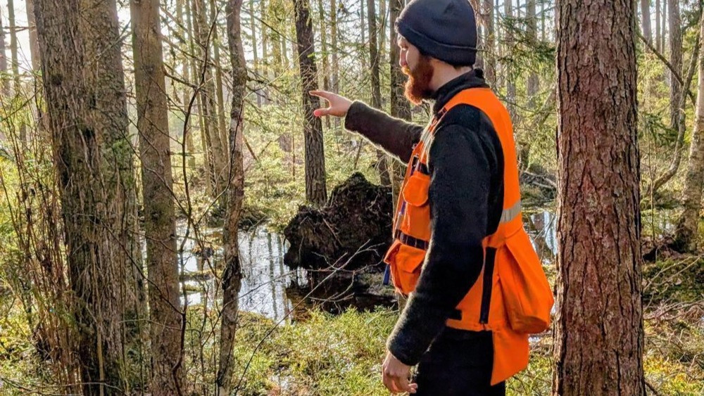 Hannes tjärn skog 16 9.JPG